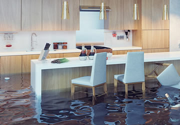 Water Damage Cleaning